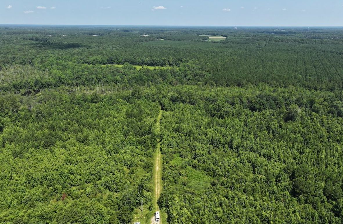 DJI_20250627110905_0128_D