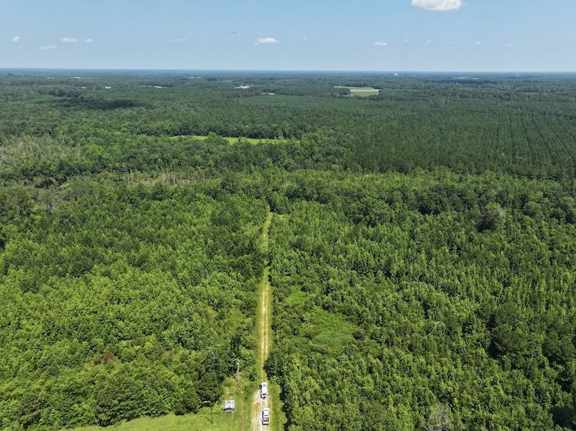 DJI_20250627110905_0128_D