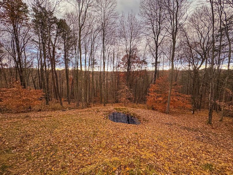 Ritchie, WV 14.081 AC Currey-16