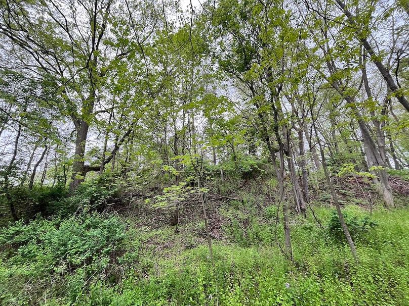 Chemung_3.5_Rouseland Photo 7