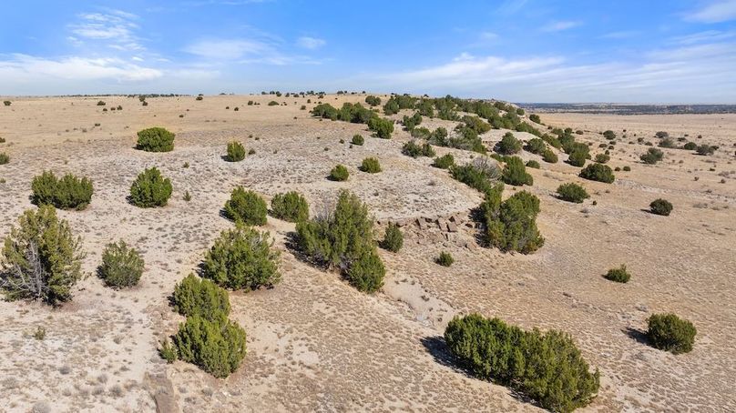 DJI_20251015123931_0118_D