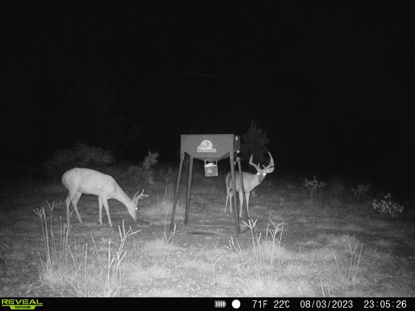 6aa9e613-20df-4fd4-9a88-3bb704d19037