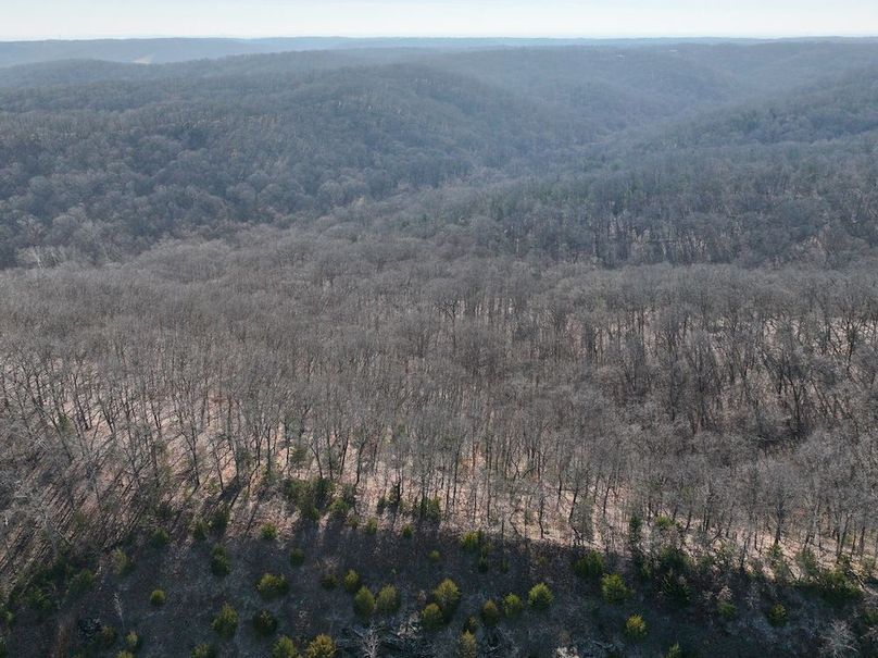 DJI_20260106120123_0925_D