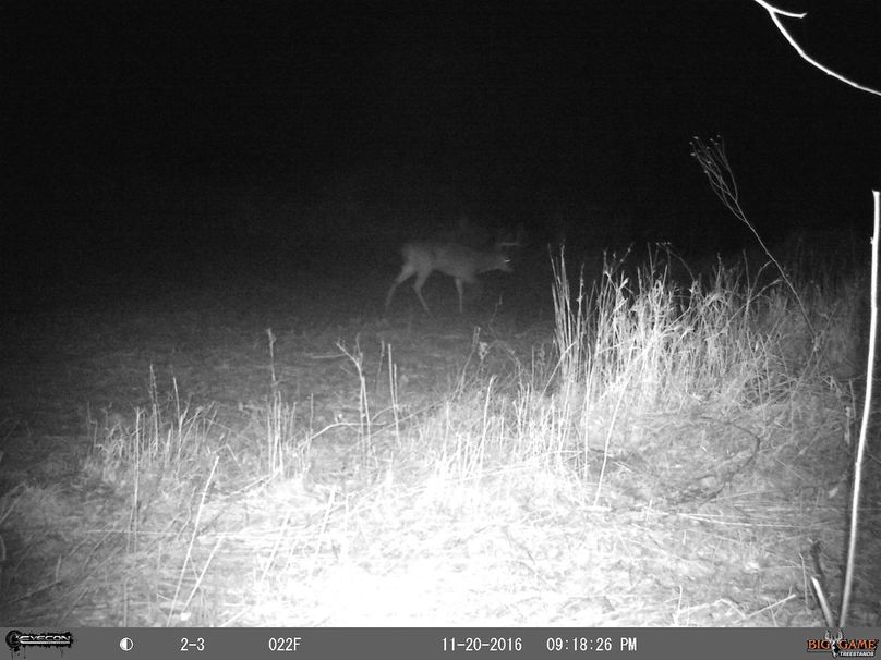 big frame on putnam 80