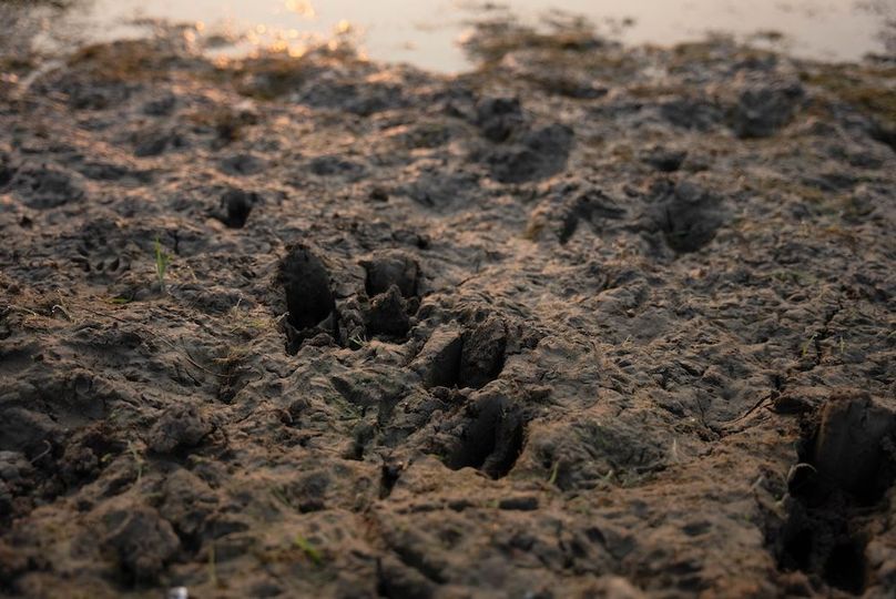 Cedar IA 152 Featured Z41A