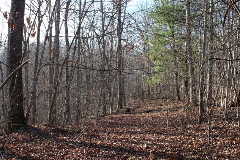 019 hardwood south facing bench in north portion of the property