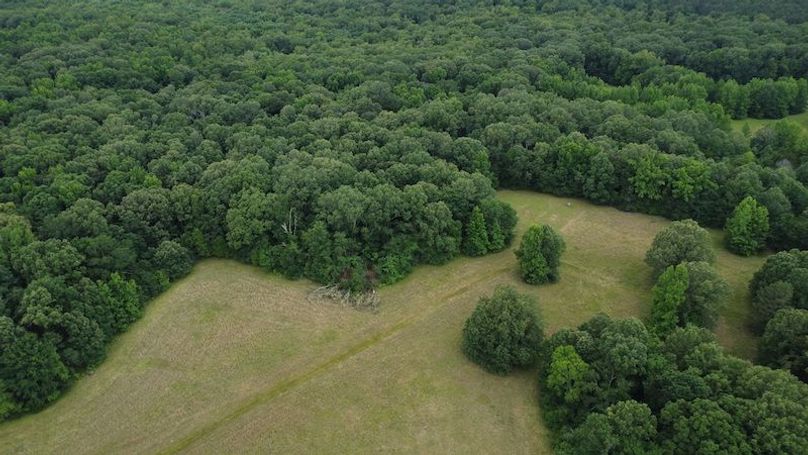 DJI_0272