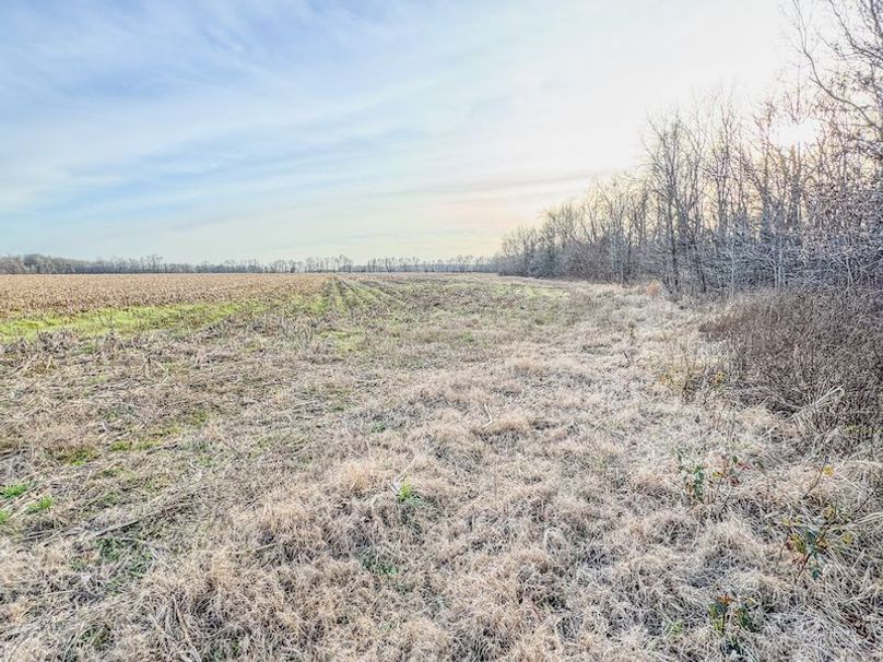 Phillips 8.5 Trahan -10