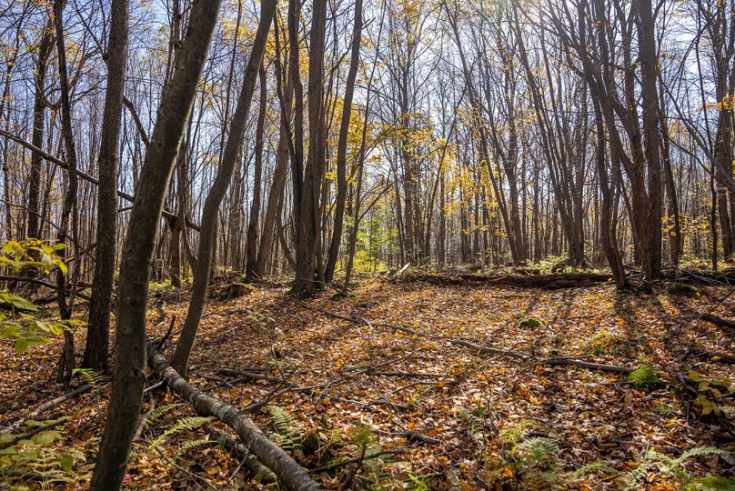 Elk PA 7000 Feature_Pro Photo-107