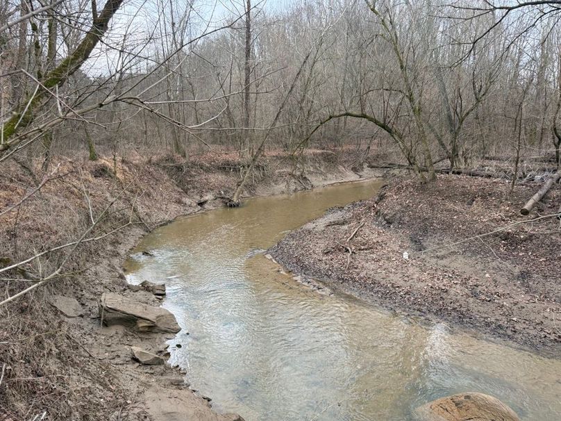 023 Georges Creek along the north boundary