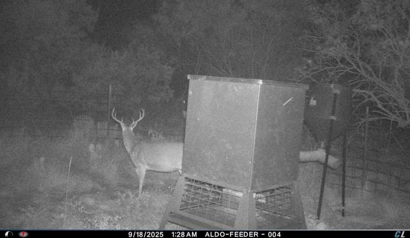 New Game Cam  Photo 1