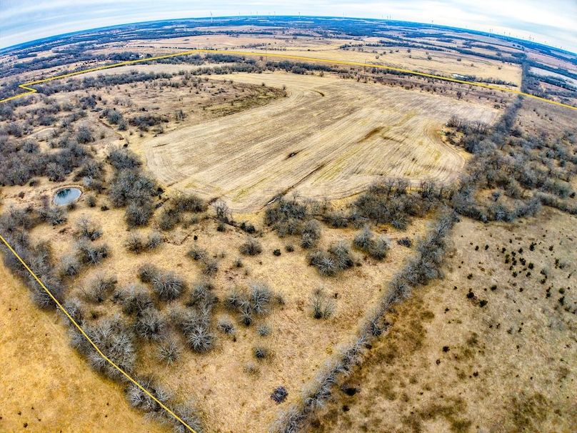 DJI_20260119092435_0685_D