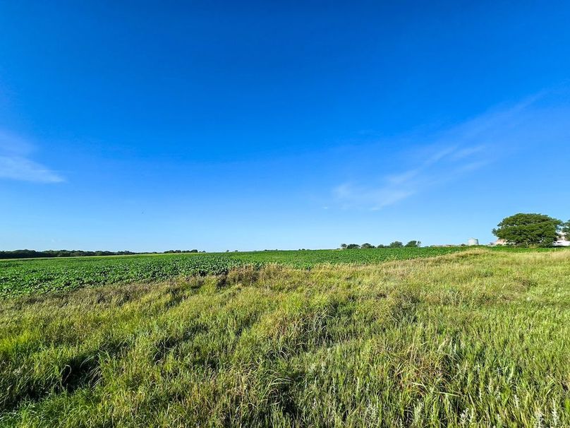 Copy of 20250729_080442