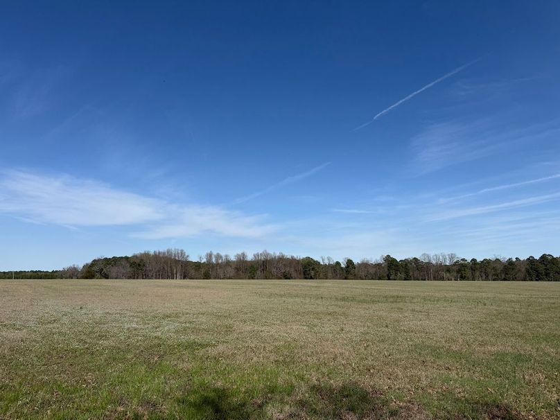 6 - field view from entrance