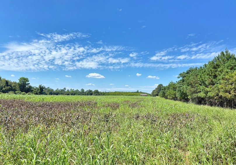 4CBC34E1-2497-42D3-9346-926D95E277F5