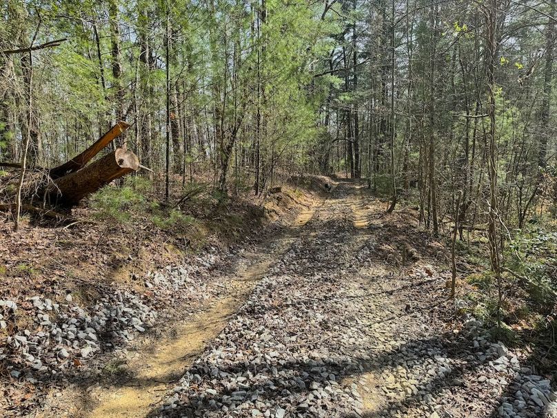 014 dirt_gravel path 