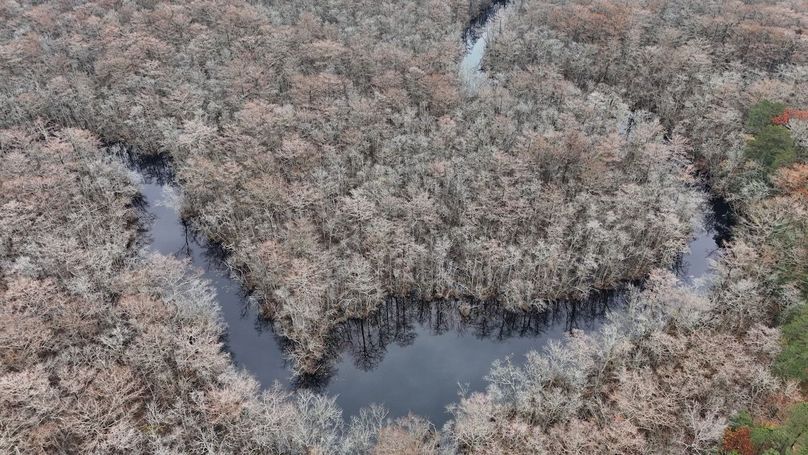 dji_fly_20251121_094258_0076_1763736115701_photo