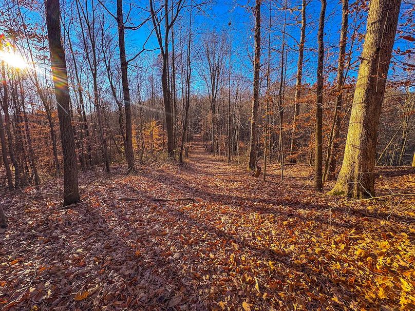 Pleasants_Wood 169.97 AC Cokeley-57