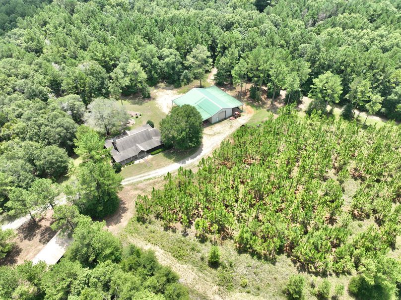 dji_fly_20230731_132442_443_1690845698280_photo