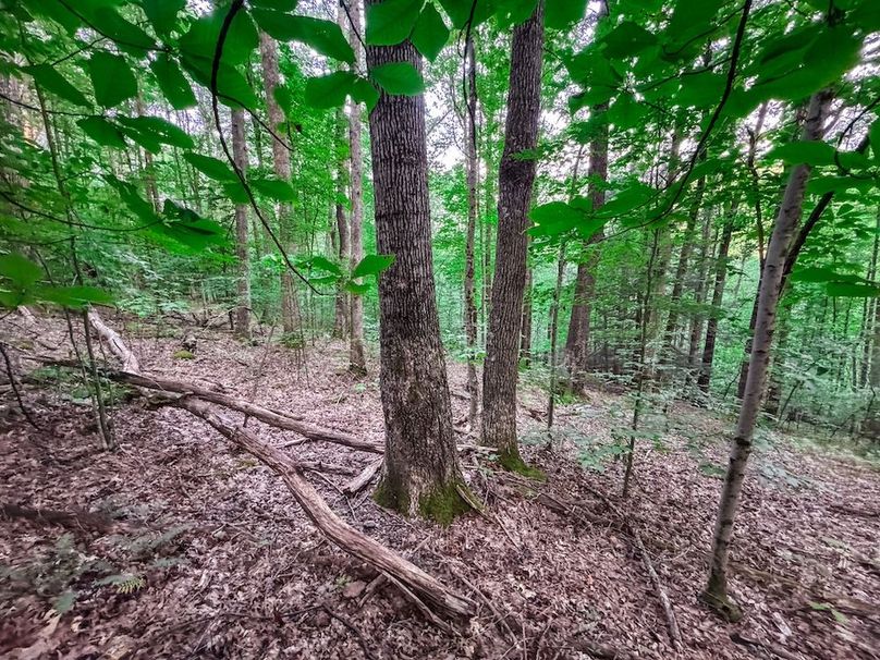 Webster, WV 42 AC Barger-28