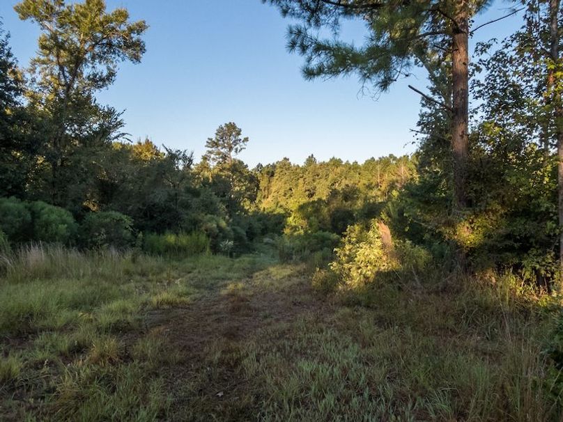 Hinds Co - 78 - Newman-18