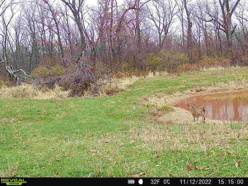 Copy of Trail photos.49