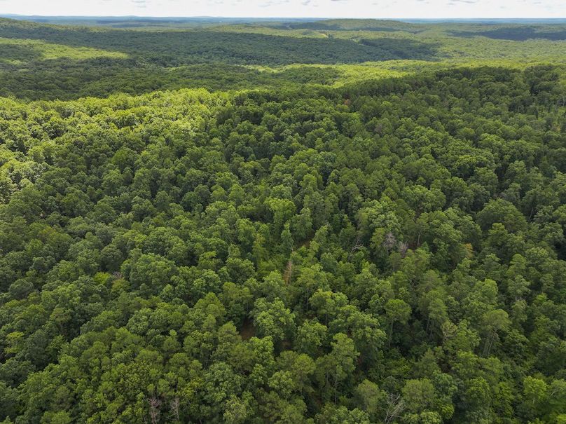 DJI_20250709130049_0424_D