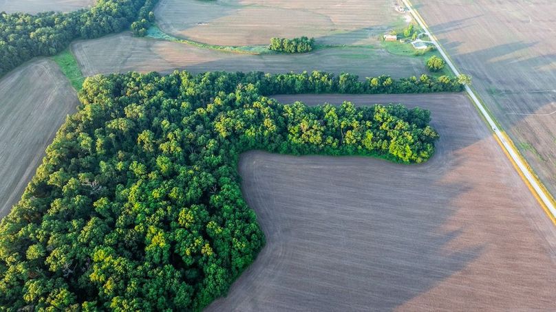 Copy of DJI_20250703171711_0021_D