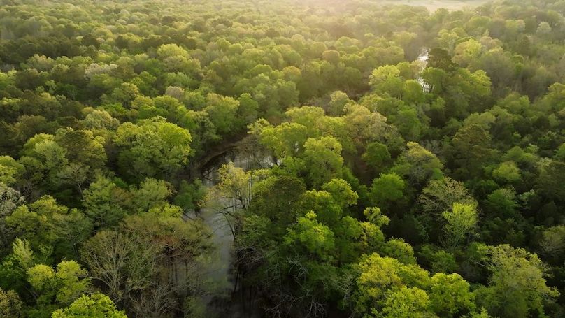 7 Marion TX 143 and 117 Featured_WEB.00_05_49_23.Still017