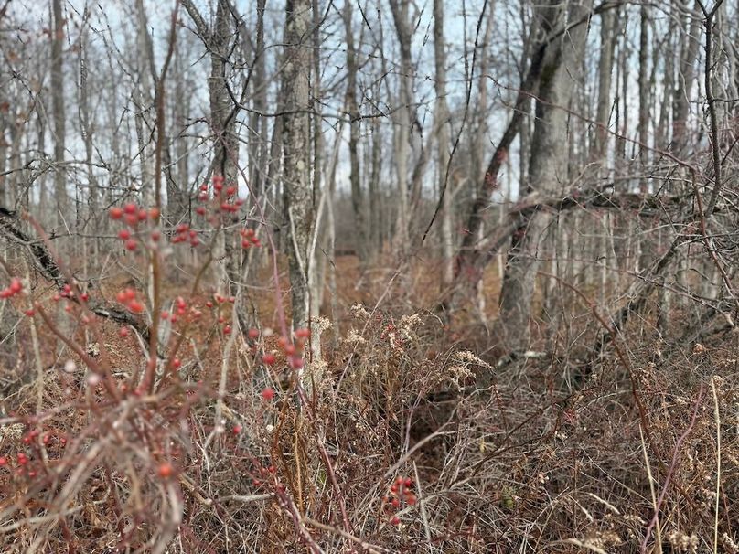 Tompkins_15.15_Galarza Photo 16