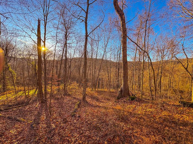 Pleasants_Wood 169.97 AC Cokeley-13