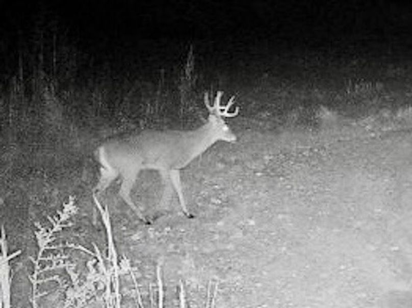 865814040672576-20-3-11052021064058-W1002559