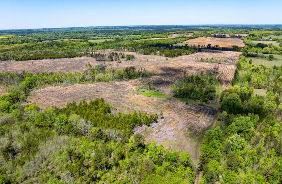 Chickasaw 165 Woods-01