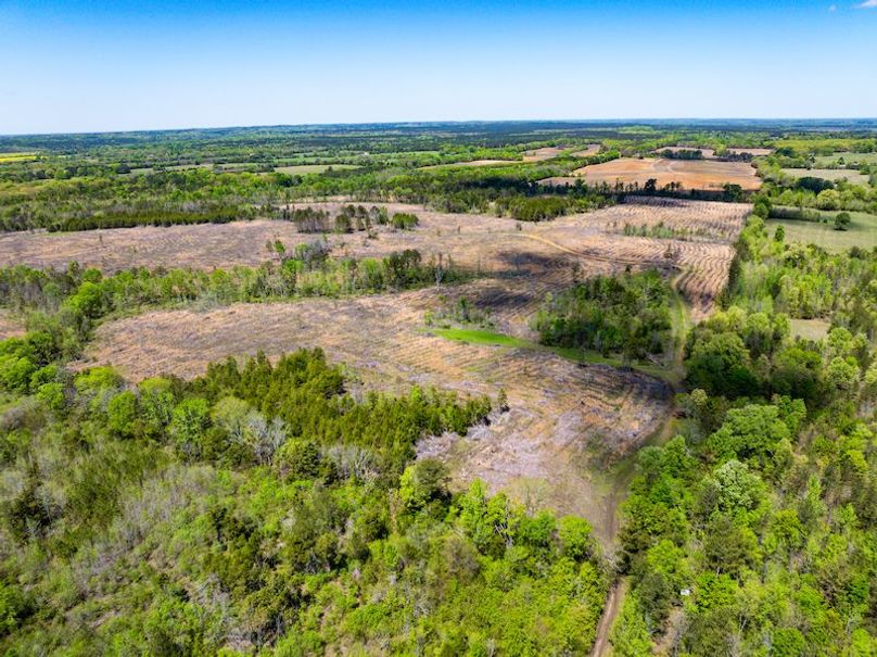 Chickasaw 165 Woods-01