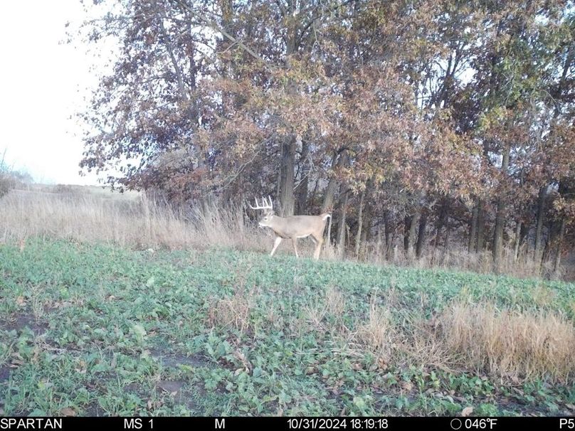 File Oct 31 2024, 9 21 04 PM