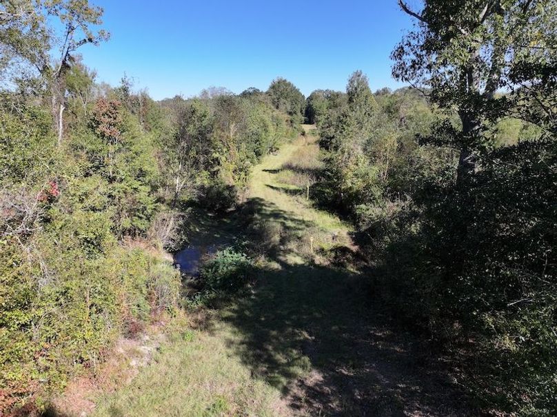 dji_fly_20251103_140826_0699_1762362213858_photo