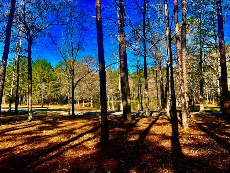 192034CB-AD9A-4D3F-8630-155781B924BC_1_201_a