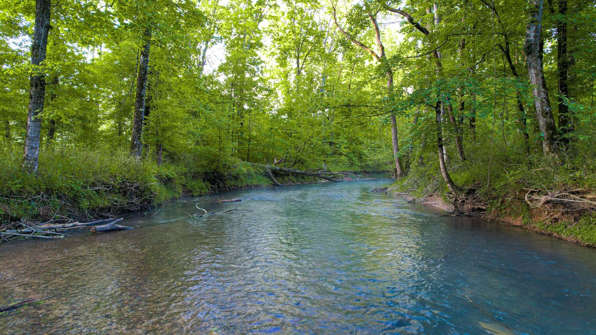 Hunting, Timber, & Recreation Property On East Armuchee Creek ...