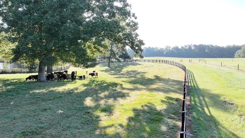 DJI_20250912004716_0389_D