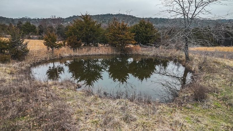 DJI_20250204234414_0061_D
