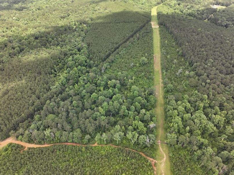 dji_fly_20260522_105542_0077_1779490428032_photo