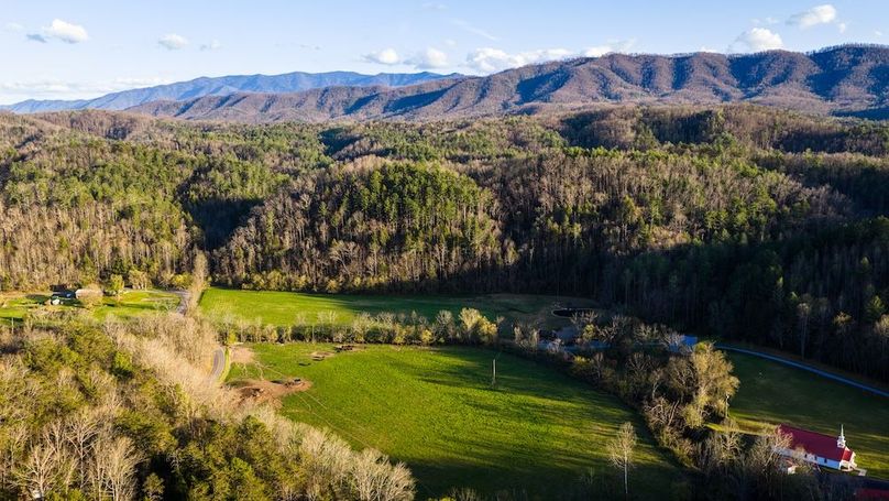 Sevier TN 77.63 Featured_Pro Photo-30