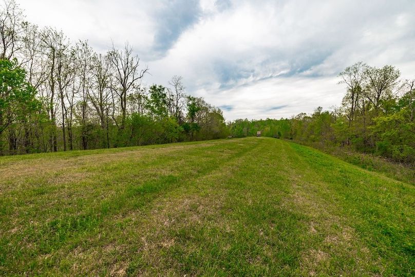 62-web-or-mls-1103 Johnny Spears Rd-48