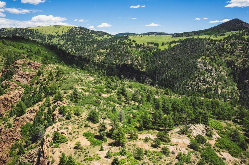 Teller Co 243.32 Kief - 05 Top of Mountain