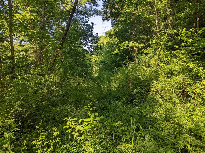 PXL_20230602_131743253