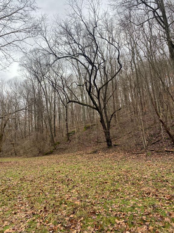 Greenup Ky Mauk 46.15 03-2