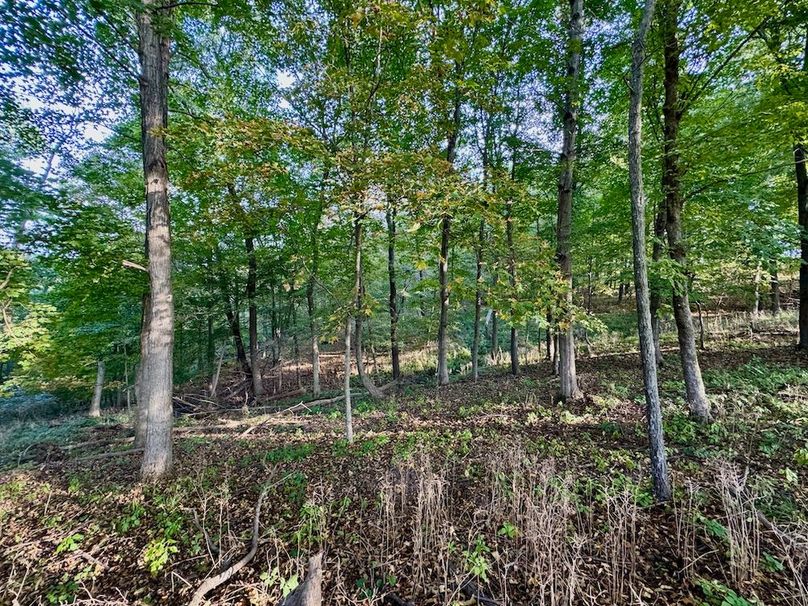 Richland 199Ground - 43