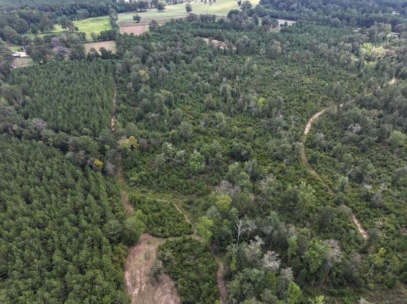 dji_fly_20250915_142546_0455_1758029017276_photo