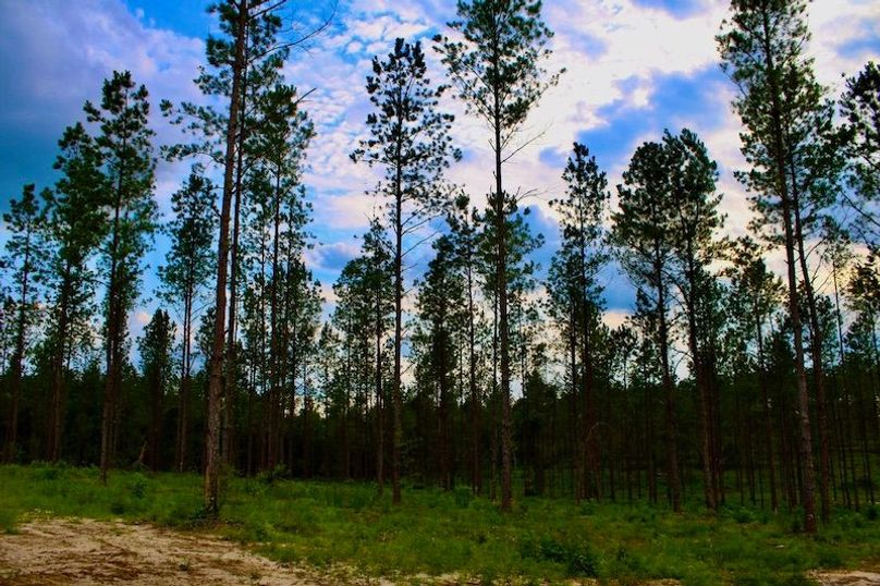 CA5E203F-36B3-4378-B607-0E73BE042A22_1_105_c