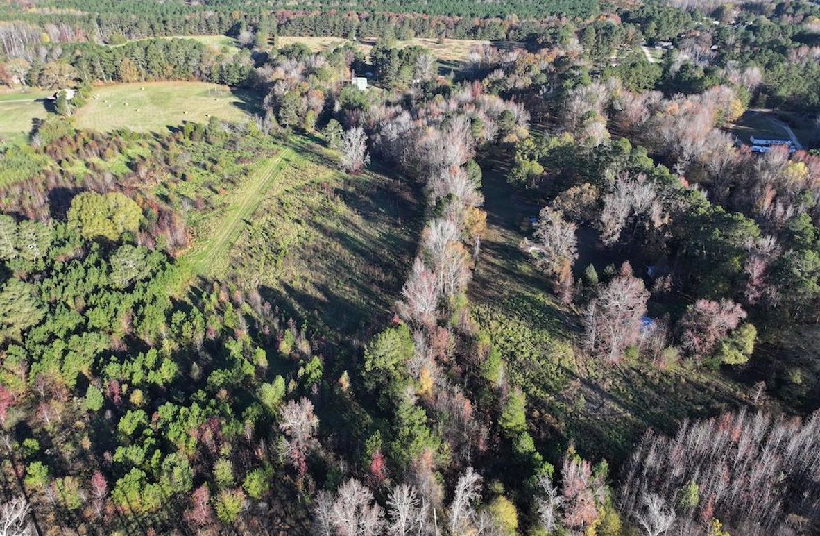 Copy of DJI_20241124090148_0206_D